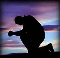 the con needs to stop